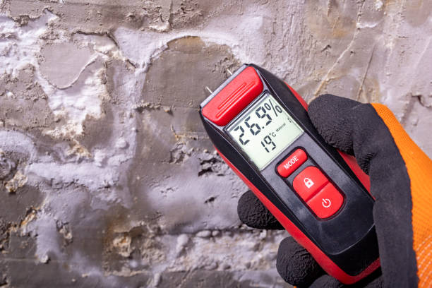 Best Best Mold Removal Companies  in Hallam, PA