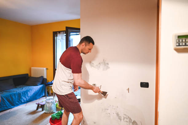 Best Same-Day Mold Removal  in Hallam, PA