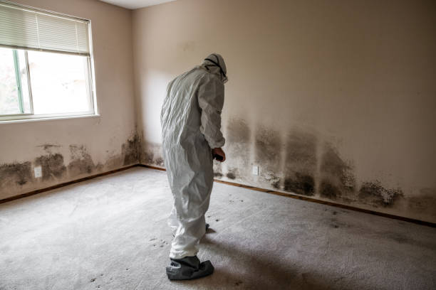 Best Emergency Mold Removal  in Hallam, PA